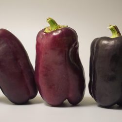 Vegetables, nature, food — Finding the Best Walk-in Clinic Near You for Immediate Medical Care