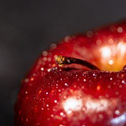 Apple, ripe, red apple — How to Choose the Best Outpatient Program
