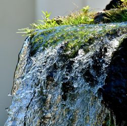 Water, fountain, water feature — Increasing Visibility: Leveraging Digital Marketing Services in India