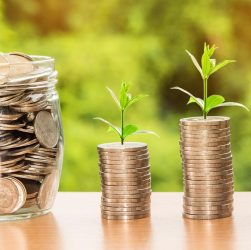 Money, profit, finance — Insights into Queen Alba's Part-time Job Market