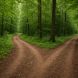 Two diverging paths in a lush green forest, symbolizing decision-making and conflicting emotions.